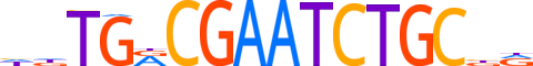 ZFAT.H14RSNP.0.PSGI.D reverse-complement motif logo (ZFAT gene, ZFAT_HUMAN protein)