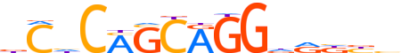 ZIC2.H14RSNP.0.P.D motif logo (ZIC2 gene, ZIC2_HUMAN protein)
