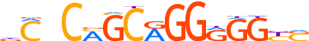 ZIC5.H14RSNP.0.P.D motif logo (ZIC5 gene, ZIC5_HUMAN protein)