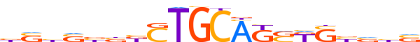 ZN292.H14RSNP.0.PSG.D motif logo (ZNF292 gene, ZN292_HUMAN protein)