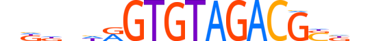ZN500.H14RSNP.0.PSGI.D reverse-complement motif logo (ZNF500 gene, ZN500_HUMAN protein)