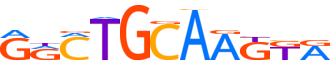 ZN582.H14RSNP.0.P.D motif logo (ZNF582 gene, ZN582_HUMAN protein)