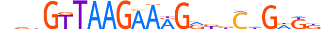 ZN696.H14RSNP.0.PSG.D motif logo (ZNF696 gene, ZN696_HUMAN protein)