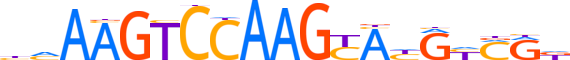 ZN724.H14RSNP.0.PSG.D reverse-complement motif logo (ZNF724 gene, ZN724_HUMAN protein)