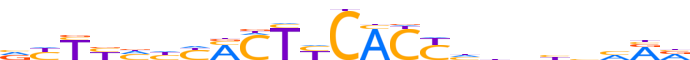 ZNF77.H14RSNP.0.P.D motif logo (ZNF77 gene, ZNF77_HUMAN protein)