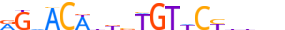 ANDR.H14RSNP.0.P.B motif logo (AR gene, ANDR_HUMAN protein)