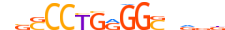 AP2C.H14RSNP.0.PSM.A motif logo (TFAP2C gene, AP2C_HUMAN protein)