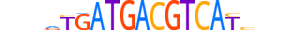 ATF3.H14RSNP.3.SM.B motif logo (ATF3 gene, ATF3_HUMAN protein)