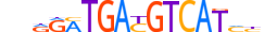 ATF4.H14RSNP.2.SM.B motif logo (ATF4 gene, ATF4_HUMAN protein)
