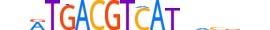 CREB5.H14RSNP.1.SM.B motif logo (CREB5 gene, CREB5_HUMAN protein)