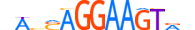 ELF3.H14RSNP.1.PM.A motif logo (ELF3 gene, ELF3_HUMAN protein)