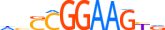ELF4.H14RSNP.0.PS.A motif logo (ELF4 gene, ELF4_HUMAN protein)