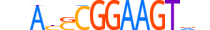 ELF5.H14RSNP.1.S.B motif logo (ELF5 gene, ELF5_HUMAN protein)