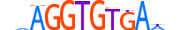 EOMES.H14RSNP.0.PSM.A motif logo (EOMES gene, EOMES_HUMAN protein)