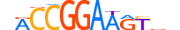 ETS1.H14RSNP.0.S.B motif logo (ETS1 gene, ETS1_HUMAN protein)