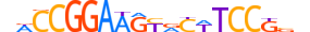 ETS2.H14RSNP.0.S.C motif logo (ETS2 gene, ETS2_HUMAN protein)