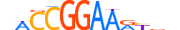 ETV2.H14RSNP.0.S.B motif logo (ETV2 gene, ETV2_HUMAN protein)