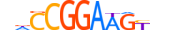 ETV5.H14RSNP.0.PS.A motif logo (ETV5 gene, ETV5_HUMAN protein)