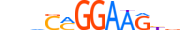 ETV5.H14RSNP.1.PM.A motif logo (ETV5 gene, ETV5_HUMAN protein)