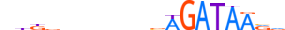 GATA2.H14RSNP.1.P.B motif logo (GATA2 gene, GATA2_HUMAN protein)