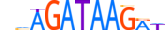 GATA3.H14RSNP.1.SM.B motif logo (GATA3 gene, GATA3_HUMAN protein)