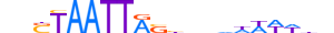 GBX2.H14RSNP.1.S.B motif logo (GBX2 gene, GBX2_HUMAN protein)