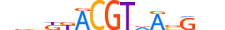 GMEB2.H14RSNP.2.SM.D motif logo (GMEB2 gene, GMEB2_HUMAN protein)