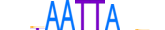 HESX1.H14RSNP.0.SM.B motif logo (HESX1 gene, HESX1_HUMAN protein)