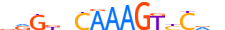 HNF4A.H14RSNP.0.PSM.A motif logo (HNF4A gene, HNF4A_HUMAN protein)