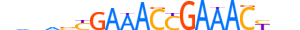 IRF5.H14RSNP.0.SM.B motif logo (IRF5 gene, IRF5_HUMAN protein)