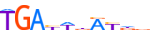 MEIS2.H14RSNP.0.P.C motif logo (MEIS2 gene, MEIS2_HUMAN protein)