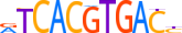 MITF.H14RSNP.0.P.B motif logo (MITF gene, MITF_HUMAN protein)