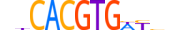 MLX.H14RSNP.1.SM.B motif logo (MLX gene, MLX_HUMAN protein)