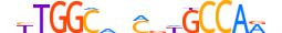NFIX.H14RSNP.0.SM.B motif logo (NFIX gene, NFIX_HUMAN protein)