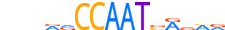 NFYA.H14RSNP.0.P.D motif logo (NFYA gene, NFYA_HUMAN protein)
