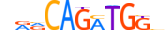 NGN2.H14RSNP.0.P.D motif logo (NEUROG2 gene, NGN2_HUMAN protein)