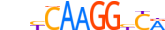 NR5A2.H14RSNP.0.PSM.D motif logo (NR5A2 gene, NR5A2_HUMAN protein)