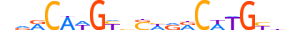P63.H14RSNP.0.PS.A motif logo (TP63 gene, P63_HUMAN protein)