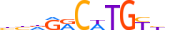P63.H14RSNP.1.PS.A motif logo (TP63 gene, P63_HUMAN protein)