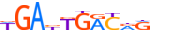 PBX1.H14RSNP.0.P.D motif logo (PBX1 gene, PBX1_HUMAN protein)