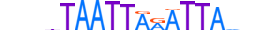 PROP1.H14RSNP.0.PSM.A motif logo (PROP1 gene, PROP1_HUMAN protein)