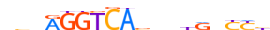 RARG.H14RSNP.0.P.B motif logo (RARG gene, RARG_HUMAN protein)