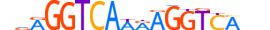 RARG.H14RSNP.3.S.B motif logo (RARG gene, RARG_HUMAN protein)