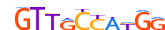RFX1.H14RSNP.0.PM.A motif logo (RFX1 gene, RFX1_HUMAN protein)