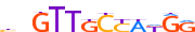 RFX2.H14RSNP.0.PS.A motif logo (RFX2 gene, RFX2_HUMAN protein)