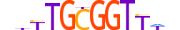 RUNX3.H14RSNP.2.S.B motif logo (RUNX3 gene, RUNX3_HUMAN protein)