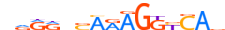 RXRB.H14RSNP.0.P.C motif logo (RXRB gene, RXRB_HUMAN protein)