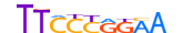 STAT3.H14RSNP.0.P.B motif logo (STAT3 gene, STAT3_HUMAN protein)