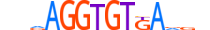 TBX3.H14RSNP.0.PSM.A motif logo (TBX3 gene, TBX3_HUMAN protein)