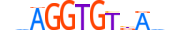 TBX6.H14RSNP.0.PSM.D motif logo (TBX6 gene, TBX6_HUMAN protein)